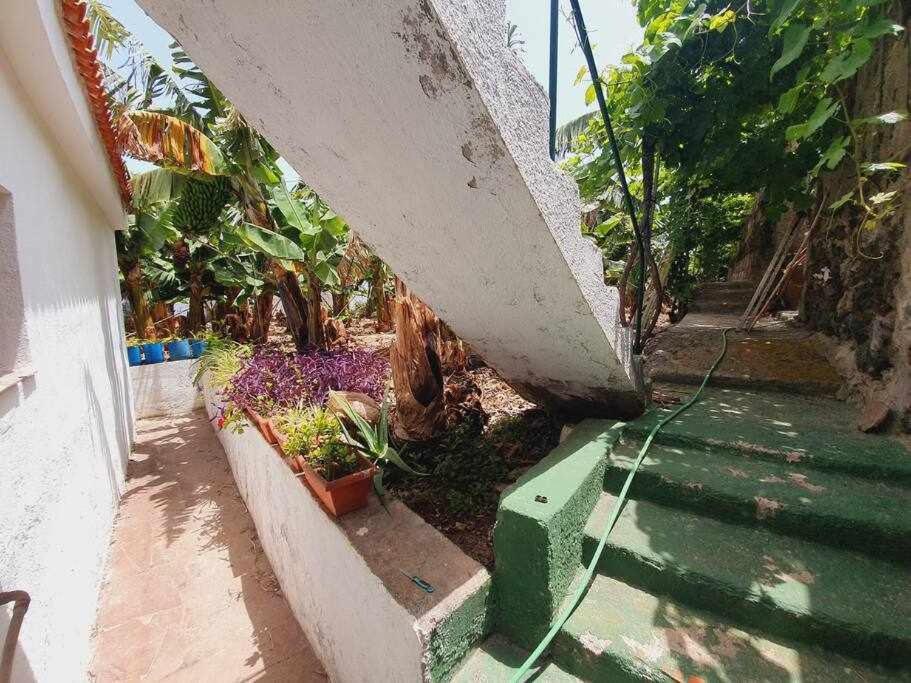 Finca Interian Лос-Силос Экстерьер фото